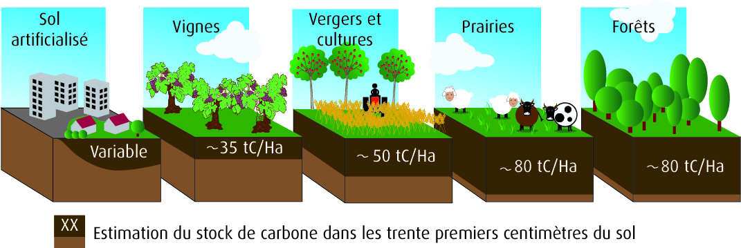 3. Selon l'occupation des sols, les capacités de stockage du CO2 varient beaucoup 